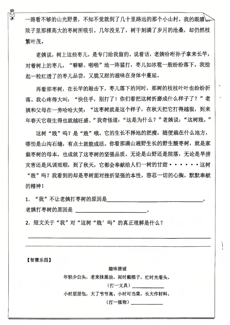 《2025最新5年级语文寒假作业_5年级下册同步教辅_5下语数英寒假作业》第6页预览