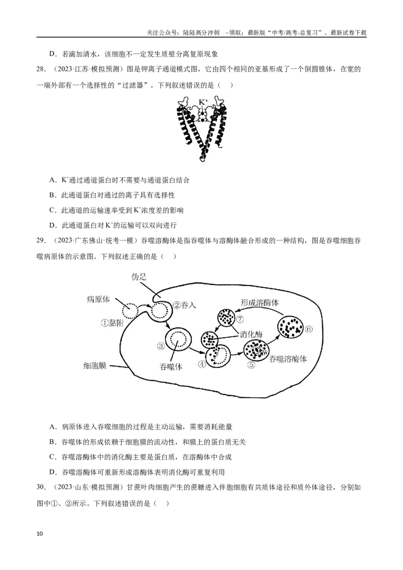 《必刷03细胞的物质输入和输出（原卷版）_06-生物-高考总复习_专项复习_2024年_2024年新高考生物总复习高频考点必刷题真题模拟题_资料》第10页预览