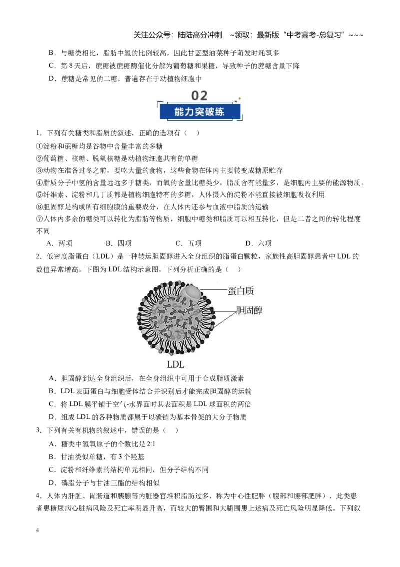 《第03讲糖类和脂质（专项训练）（安徽专用）（学生版）_06-生物-高考总复习_一轮复习_2026年-生物高考一轮复习_2026年高考生物一轮课件+讲义+练习（安徽专用）-G326》第4页预览