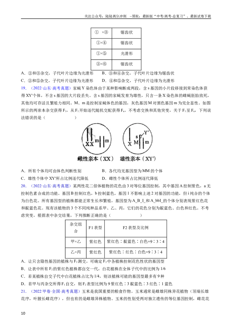 《专题10基因的自由组合定律-五年（2019-2023）高考生物真题分项汇编（全国通用）（学生版）_06-生物-高考总复习_专项复习_2024年_2019-2023高考生物五年真题分项汇编（全国通用）》第10页预览