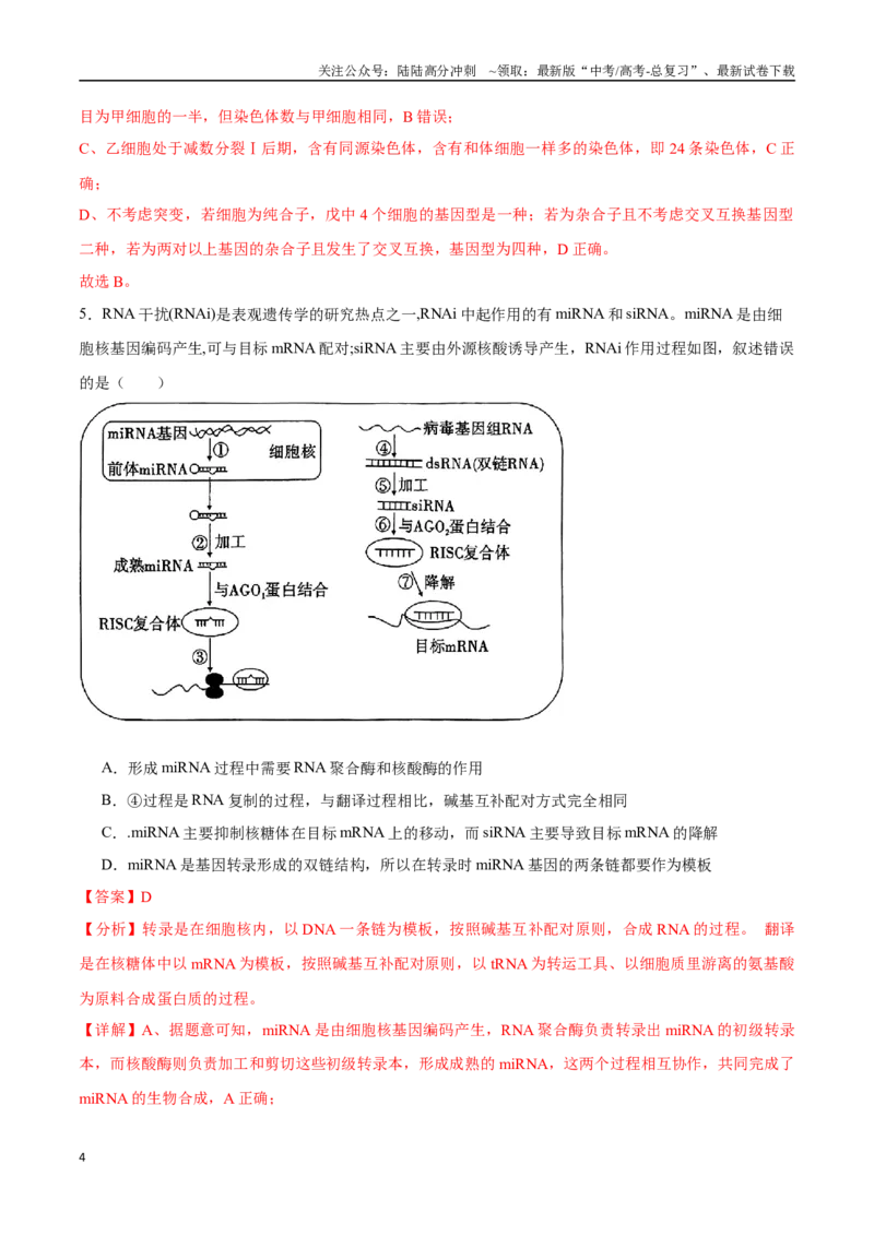 《生物（天津卷）（全解全析）_06-生物-高考总复习_二轮复习_2025年_2025年高考生物第二次模拟卷26套_生物（天津卷）_生物（天津卷）-学易金卷：2025年高考第二次模拟考试》第4页预览