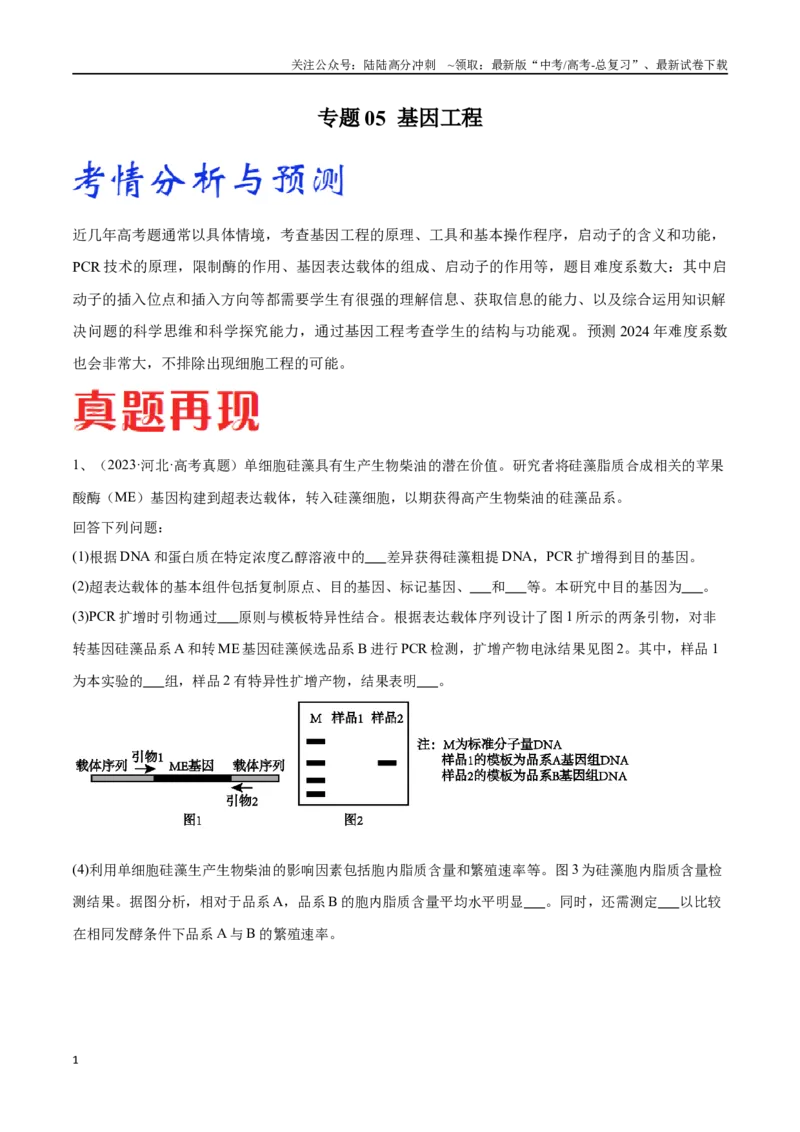 《专题05基因工程（河北卷）（解析版）_06-生物-高考总复习_专项复习_2024年_2024年高考生物考前大题秒杀技巧及专项训练_资料》第1页预览