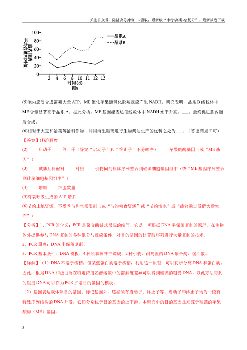 《专题05基因工程（河北卷）（解析版）_06-生物-高考总复习_专项复习_2024年_2024年高考生物考前大题秒杀技巧及专项训练_资料》第2页预览