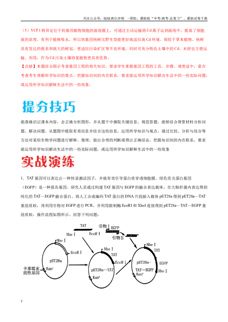 《专题05基因工程（河北卷）（解析版）_06-生物-高考总复习_专项复习_2024年_2024年高考生物考前大题秒杀技巧及专项训练_资料》第7页预览
