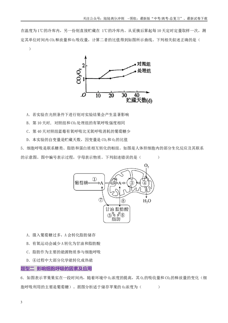 《第04讲细胞呼吸和光合作用（专项训练）（学生版）_06-生物-高考总复习_二轮复习_2025年_2025年高考生物二轮复习课件+讲义+练习（新高考通用）》第3页预览