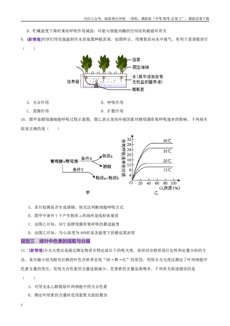 《第04讲细胞呼吸和光合作用（专项训练）（学生版）_06-生物-高考总复习_二轮复习_2025年_2025年高考生物二轮复习课件+讲义+练习（新高考通用）》第5页预览