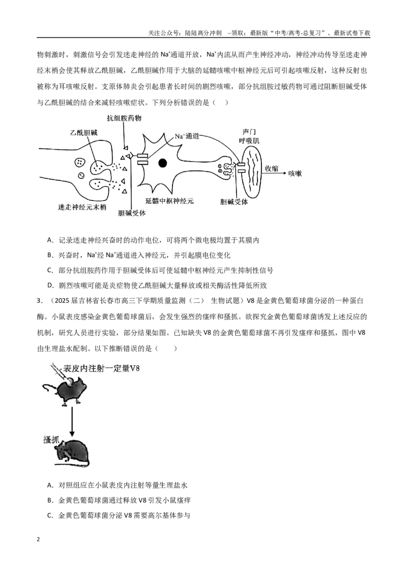 《猜押04神经-体液-免疫调节（学生版）_06-生物-高考总复习_专项复习_2025年_2025年高考生物抢押秘籍（黑吉辽蒙专用）》第2页预览