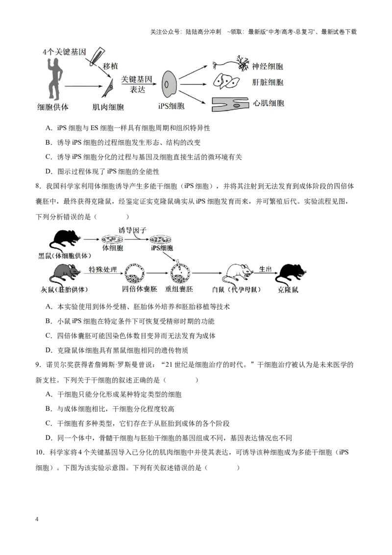 《热点04猪体内培养出实体人源器官-（原卷版）_06-生物-高考总复习_专项复习_2024年_2024年高考生物热点情境解读与知识链接8份_资料_1-资料》第4页预览