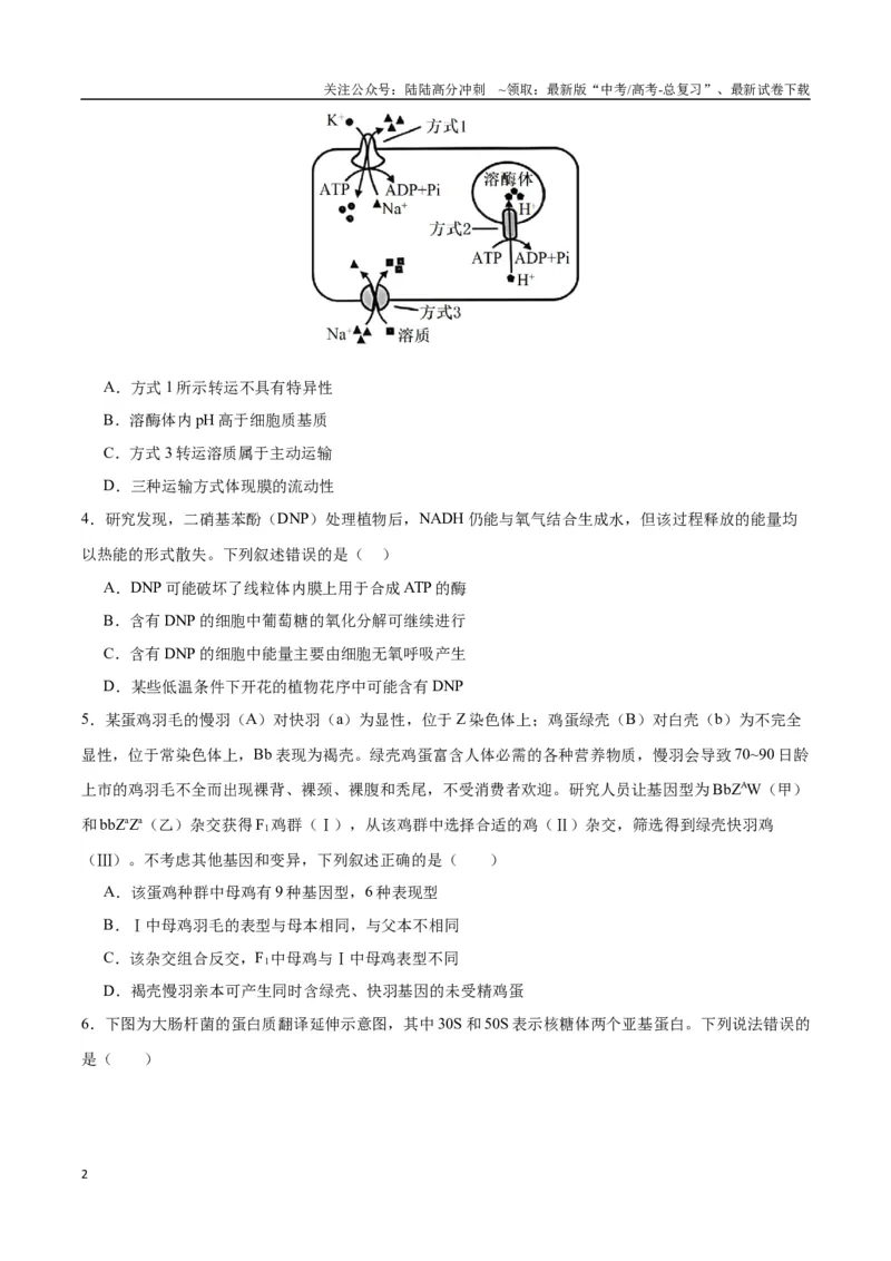 《生物（九省联考考后提升卷，甘肃卷）（原卷版）_06-生物-高考总复习_专项复习_2024年_2024高考生物1月九省联考猜想卷真题汇编完全解读》第2页预览