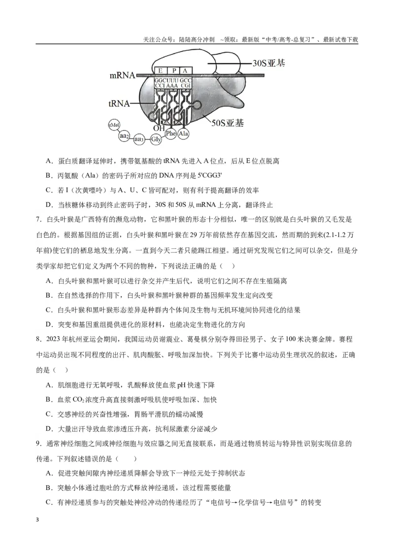 《生物（九省联考考后提升卷，甘肃卷）（原卷版）_06-生物-高考总复习_专项复习_2024年_2024高考生物1月九省联考猜想卷真题汇编完全解读》第3页预览