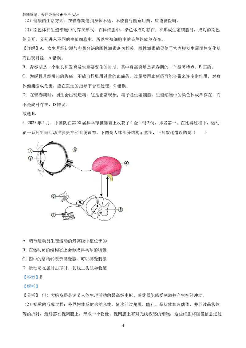 《2025四川省南充市中考生物真题(解析版)_历年中考真题2013-2025_初中生物历年中考真题（2015-2025）_2025年全国中考真题_2025四川省南充市中考生物真题》第4页预览