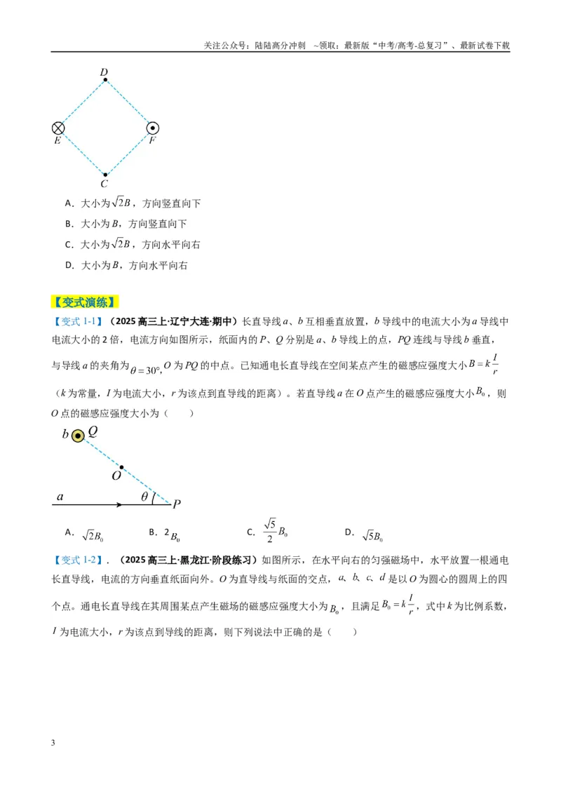 《专题05磁场（原卷版）_04-物理-高考总复习_二轮复习_2025年_2025年高考物理二轮热点题型归纳与变式演练（新高考通用）》第3页预览