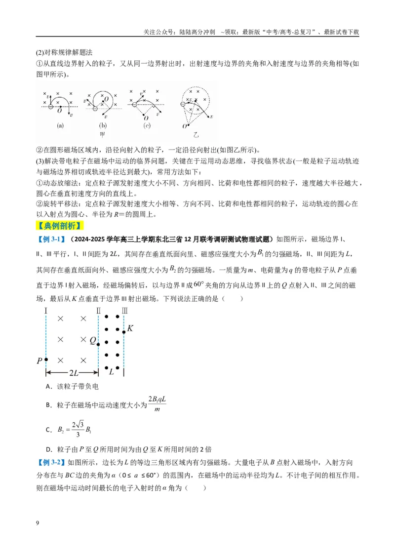 《专题05磁场（原卷版）_04-物理-高考总复习_二轮复习_2025年_2025年高考物理二轮热点题型归纳与变式演练（新高考通用）》第9页预览