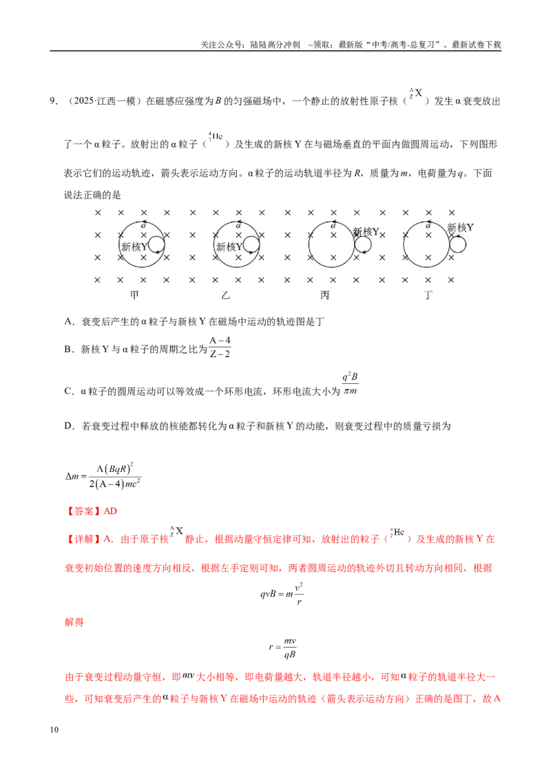 《模拟卷06（新八省通用）（解析版）_04-物理-高考总复习_专项复习_2025年_2025年高考物理模拟卷（新八省通用）8套》第10页预览