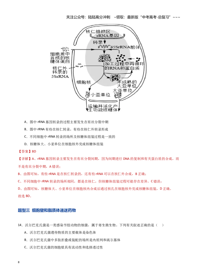 《第05讲细胞膜和细胞核（专项训练）（湖南专用）（教师版）_06-生物-高考总复习_一轮复习_2026年-生物高考一轮复习_2026年高考生物一轮课件+讲义+练习（湖南专用）-G331》第8页预览