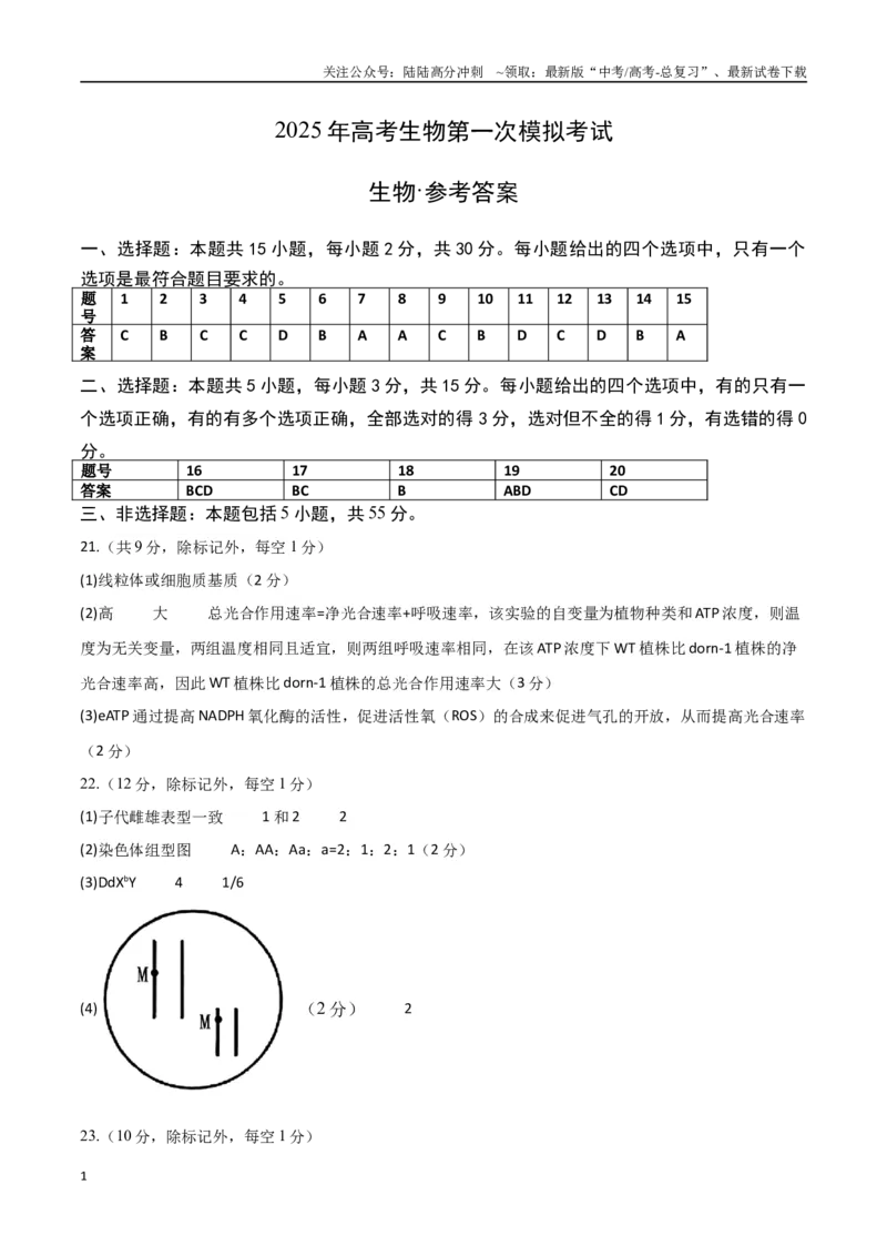 《生物（山东卷）（参考答案）_06-生物-高考总复习_专项复习_2025年_2025年高考第一二三次模拟卷（多地区）生物_2025年高考生物第一次模拟卷24套》第1页预览