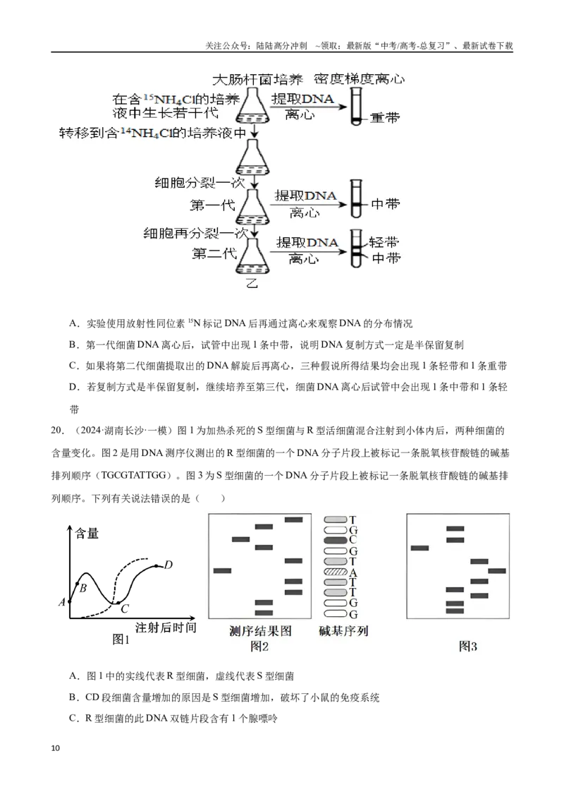 《专题07遗传的分子基础（原卷版）_06-生物-高考总复习_专项复习_2024年_2024年高考生物重难压轴题型考前终极押题_资料》第10页预览