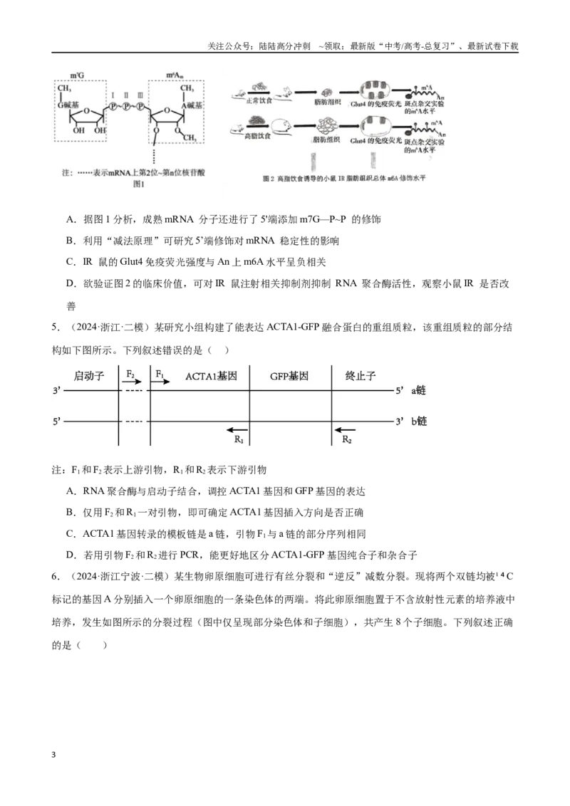 《专题07遗传的分子基础（原卷版）_06-生物-高考总复习_专项复习_2024年_2024年高考生物重难压轴题型考前终极押题_资料》第3页预览