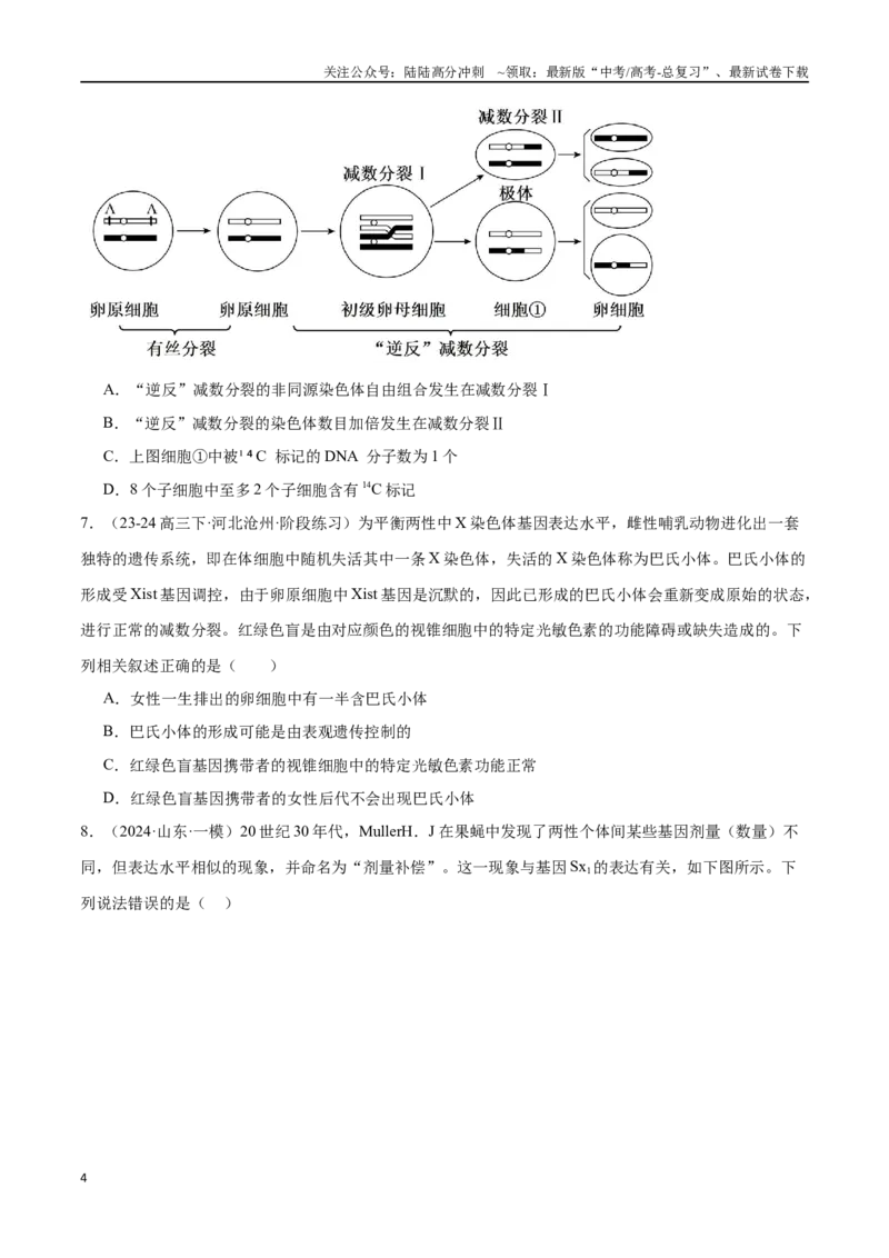 《专题07遗传的分子基础（原卷版）_06-生物-高考总复习_专项复习_2024年_2024年高考生物重难压轴题型考前终极押题_资料》第4页预览
