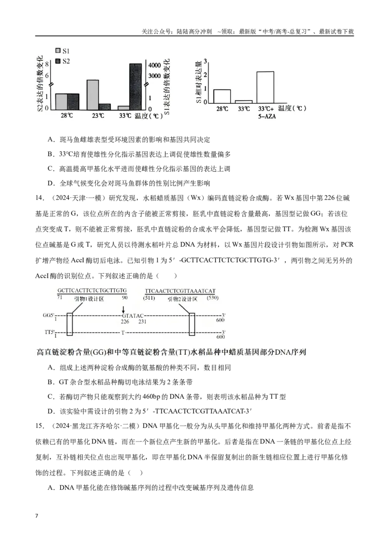 《专题07遗传的分子基础（原卷版）_06-生物-高考总复习_专项复习_2024年_2024年高考生物重难压轴题型考前终极押题_资料》第7页预览