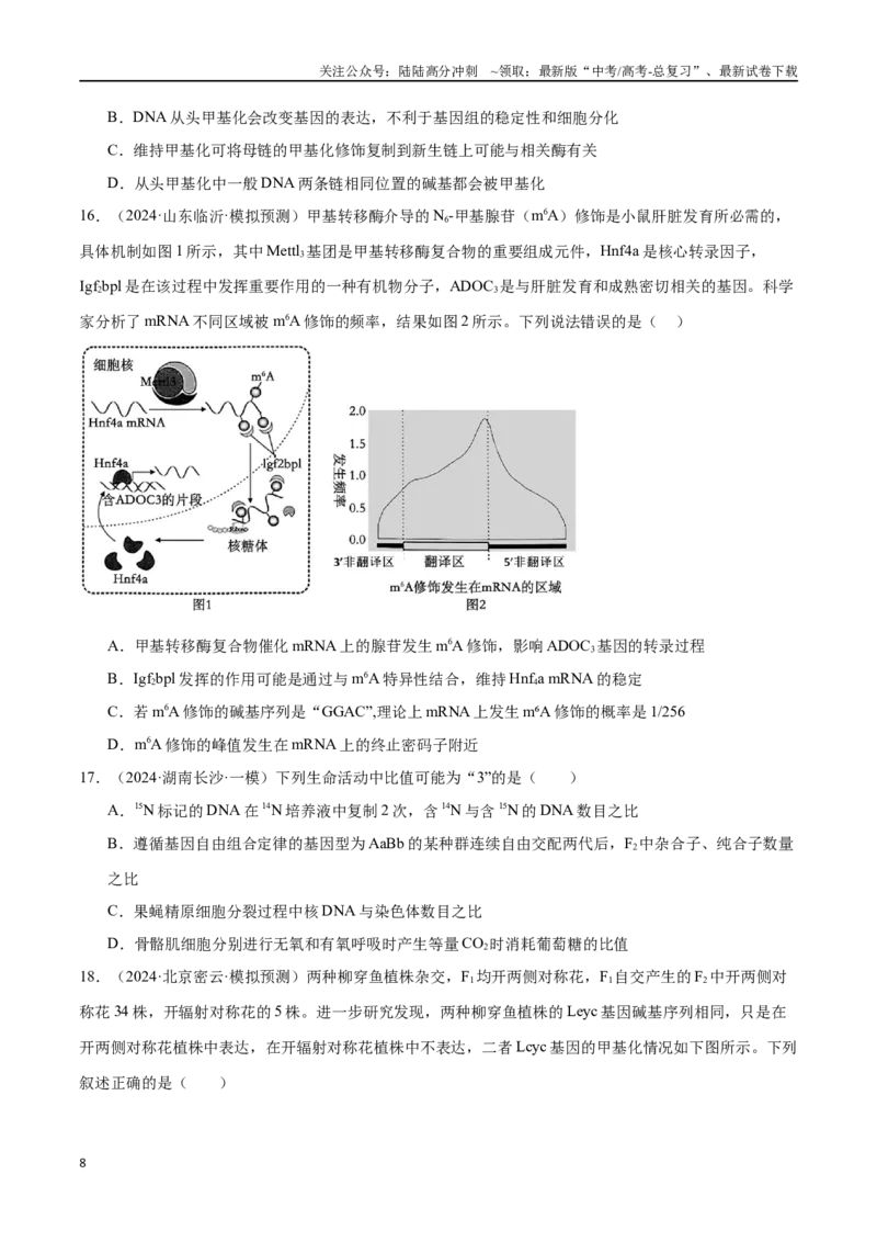 《专题07遗传的分子基础（原卷版）_06-生物-高考总复习_专项复习_2024年_2024年高考生物重难压轴题型考前终极押题_资料》第8页预览