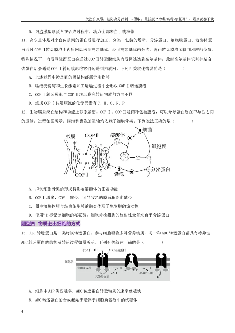 《第02讲细胞的基本结构、功能与物质进出细胞的方式（练习）（学生版）_06-生物-高考总复习_二轮复习_2025年_2025年高考生物二轮复习课件+讲义+练习（新高考通用）》第4页预览