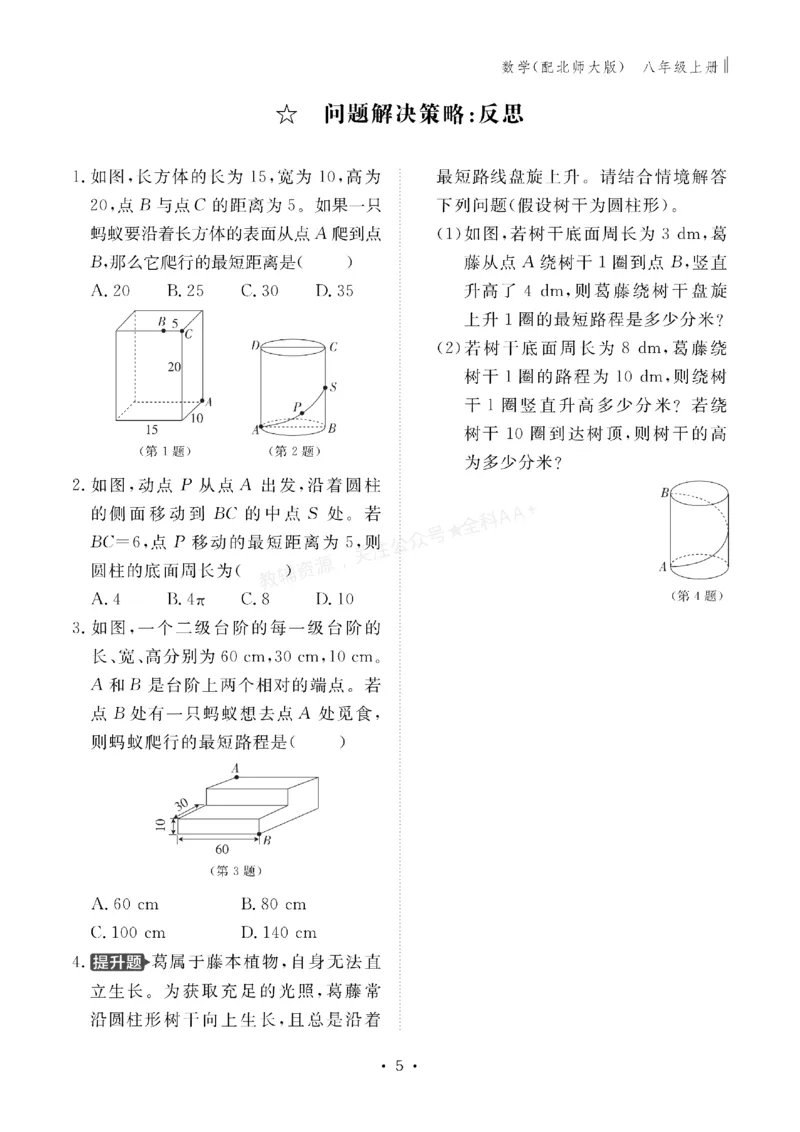 《2027《初中同步智慧作业本》数学8上(BSD)_2027版初中《同步智慧作业本》8年级上册（语数外）（人教）》第5页预览