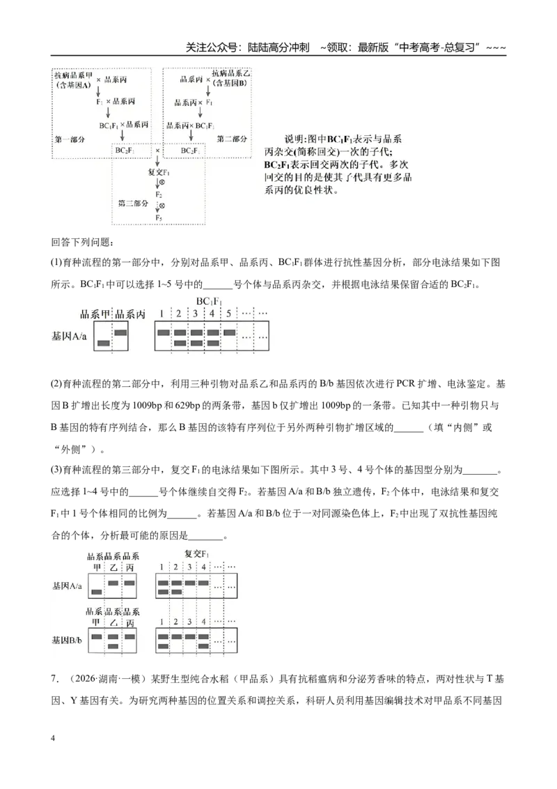 《专题04遗传规律和伴性遗传（2大考点）（学生版）_06-生物-高考总复习_专项复习_2026年-生物高考专项复习_2026年高考生物一模试题分类汇编（湖南专用）-G236_2026版》第4页预览