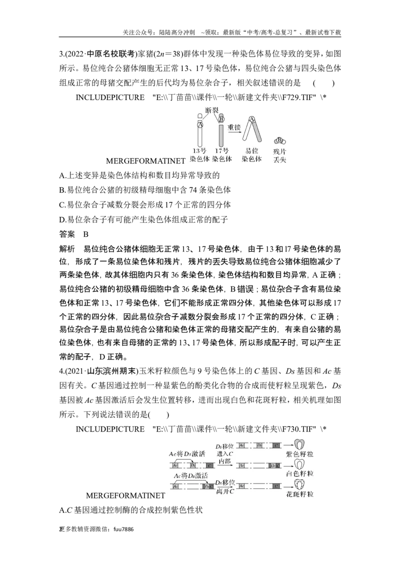 《热点微练14生物变异类型的判断(尖子生特训)_06-生物-高考总复习_一轮复习_2024年_2024高考生物大一轮复习课件讲义新人教版知识总结_2024年高考生物一轮复习讲义（新人教版）_必修2》第2页预览