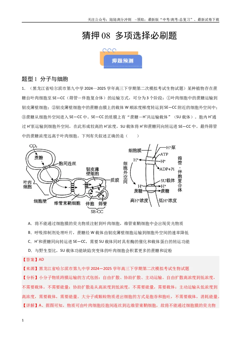 《猜押08多项选择题必刷（教师版）_06-生物-高考总复习_专项复习_2025年_2025年高考生物抢押秘籍（黑吉辽蒙专用）》第1页预览