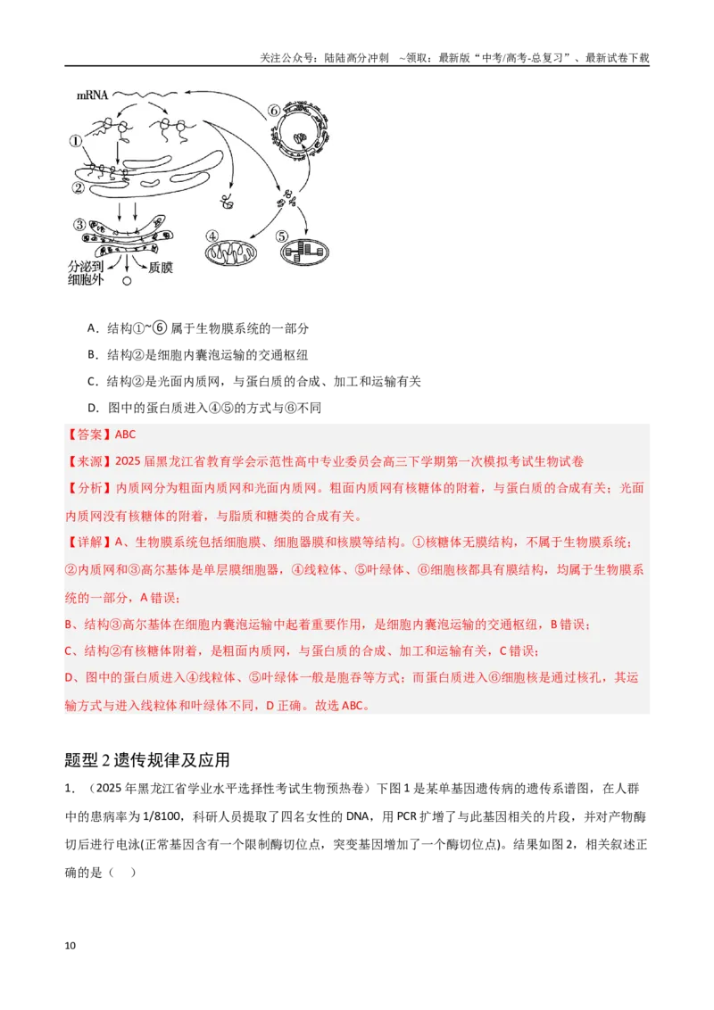 《猜押08多项选择题必刷（教师版）_06-生物-高考总复习_专项复习_2025年_2025年高考生物抢押秘籍（黑吉辽蒙专用）》第10页预览