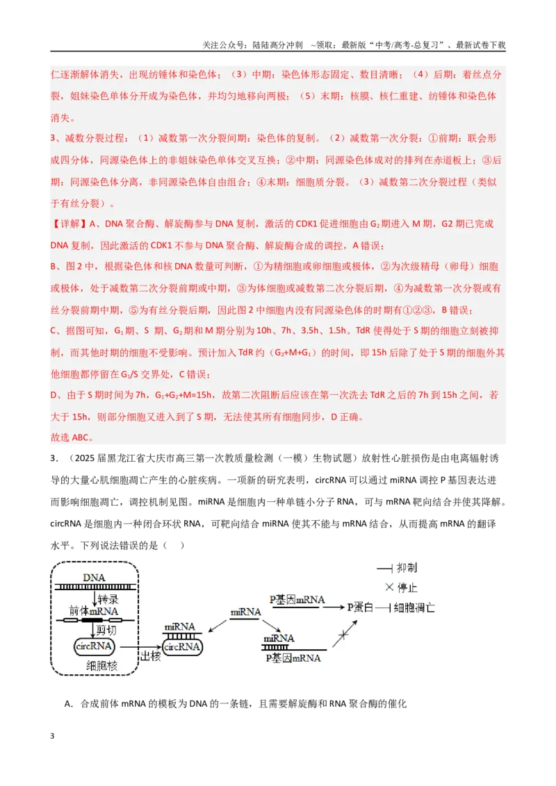 《猜押08多项选择题必刷（教师版）_06-生物-高考总复习_专项复习_2025年_2025年高考生物抢押秘籍（黑吉辽蒙专用）》第3页预览