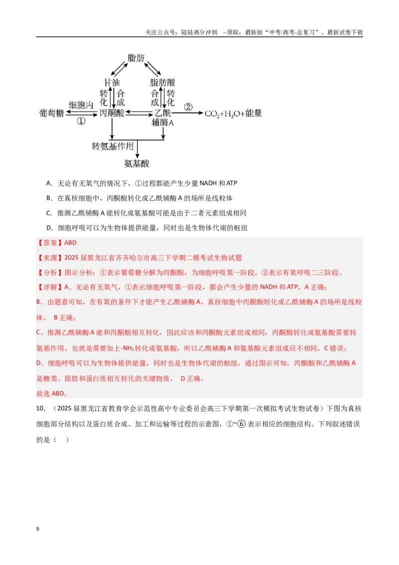 《猜押08多项选择题必刷（教师版）_06-生物-高考总复习_专项复习_2025年_2025年高考生物抢押秘籍（黑吉辽蒙专用）》第9页预览