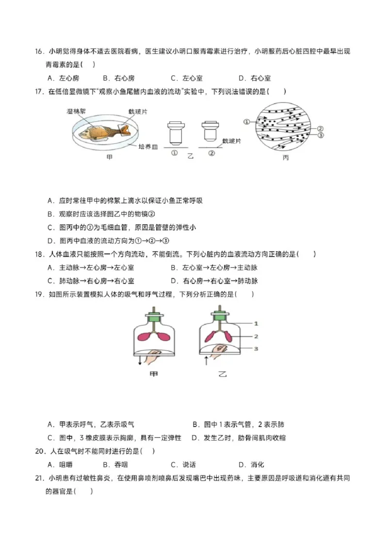 《江苏省苏州市苏教版2025-2026学年八年级上学期期中模拟试题生物试卷_2025-2026学年苏州市期中考模拟试卷合集》第4页预览