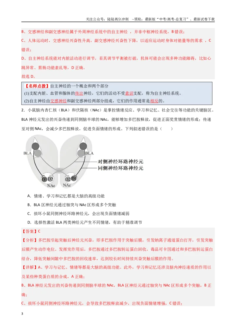 《猜押07动物生命活动的调节（教师版）_06-生物-高考总复习_专项复习_2025年_2025年高考生物抢分秘籍（新高考专用）_2025版》第3页预览