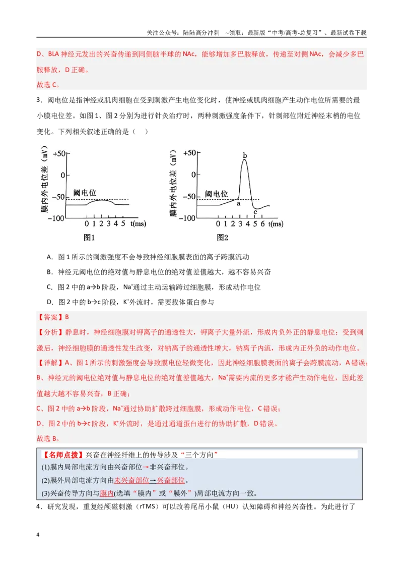 《猜押07动物生命活动的调节（教师版）_06-生物-高考总复习_专项复习_2025年_2025年高考生物抢分秘籍（新高考专用）_2025版》第4页预览