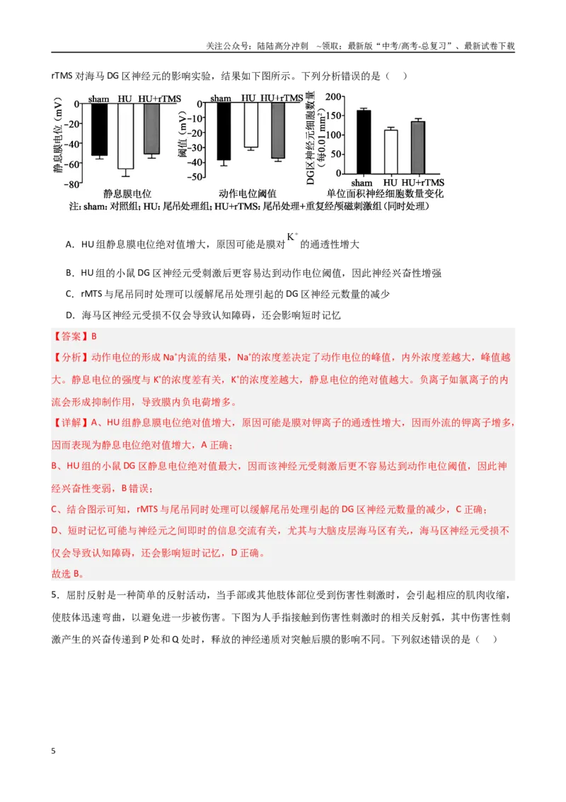 《猜押07动物生命活动的调节（教师版）_06-生物-高考总复习_专项复习_2025年_2025年高考生物抢分秘籍（新高考专用）_2025版》第5页预览