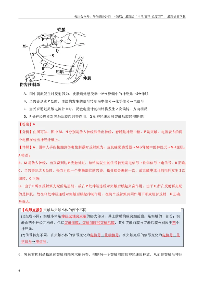 《猜押07动物生命活动的调节（教师版）_06-生物-高考总复习_专项复习_2025年_2025年高考生物抢分秘籍（新高考专用）_2025版》第6页预览