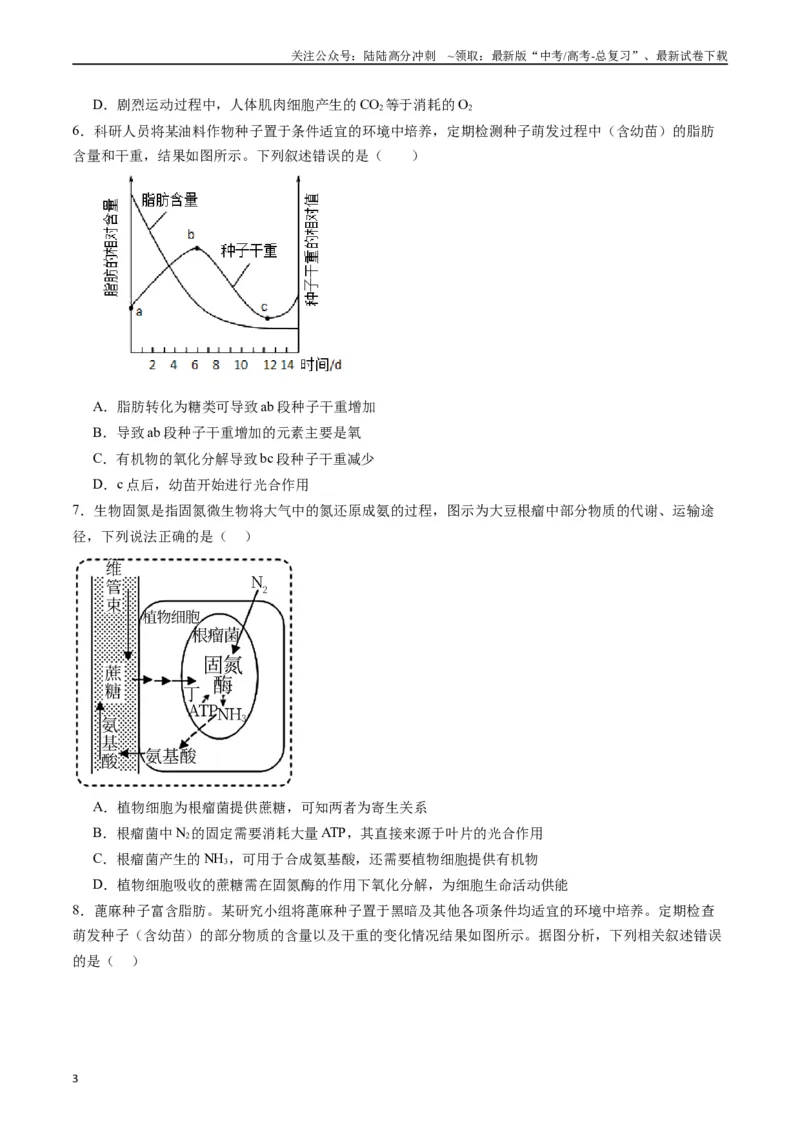 《专题07细胞代谢的综合（原卷版）_06-生物-高考总复习_专项复习_2024年_2024年高考生物经典小题必刷_资料》第3页预览