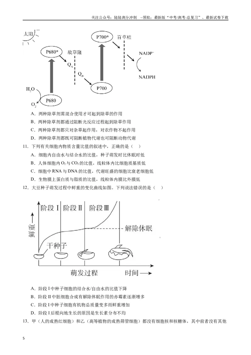 《专题07细胞代谢的综合（原卷版）_06-生物-高考总复习_专项复习_2024年_2024年高考生物经典小题必刷_资料》第5页预览