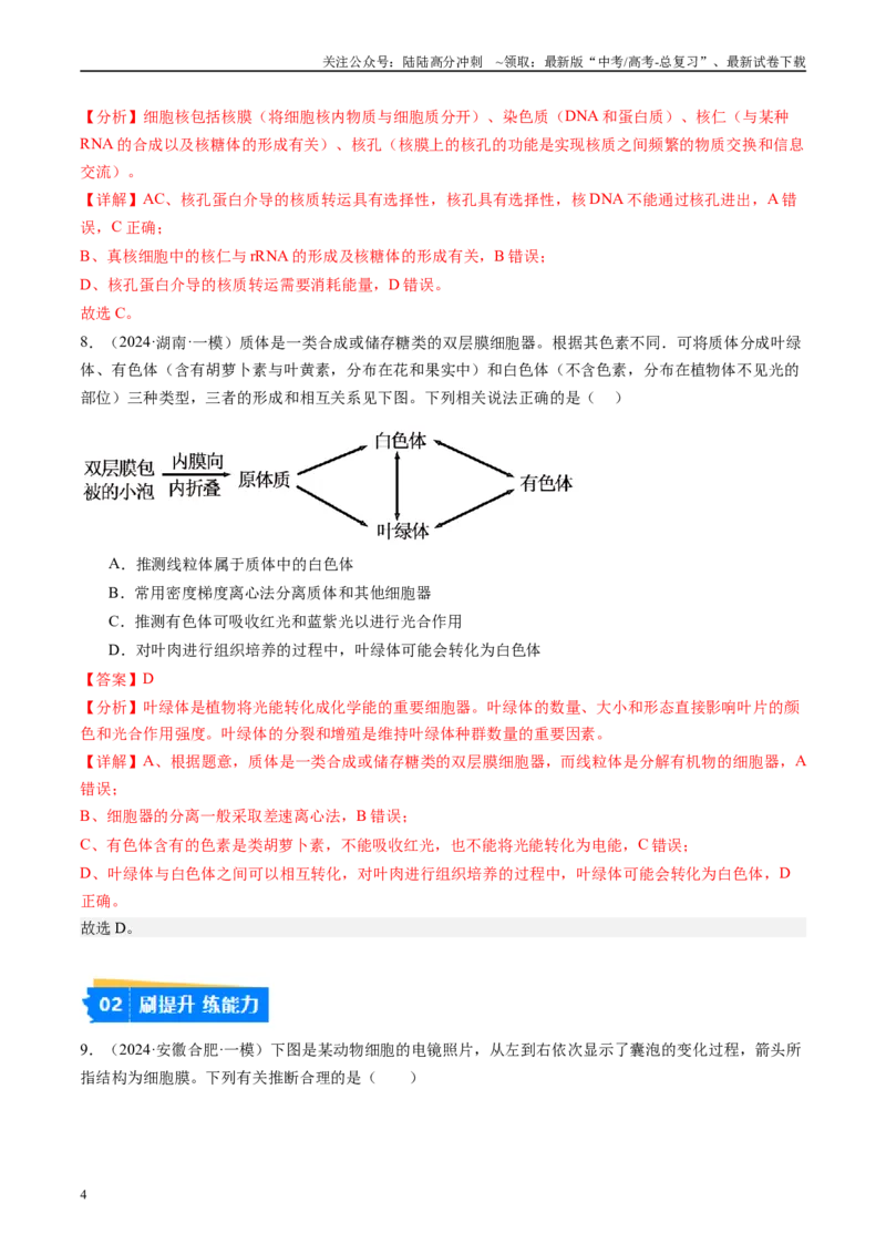《专题02细胞的结构与功能（解析版）_06-生物-高考总复习_专项复习_2025年_2024年高考一模试题分类汇编生物新高考通用》第4页预览