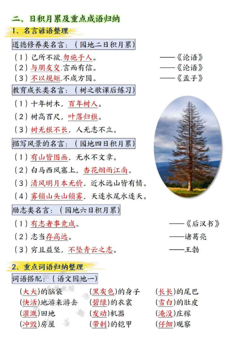 《24年二上语文期末总复习重点知识点归纳整理带答案--梅花SY_2年级上册同步教辅_2上-语文_二上语文-重点必背资料》第3页预览