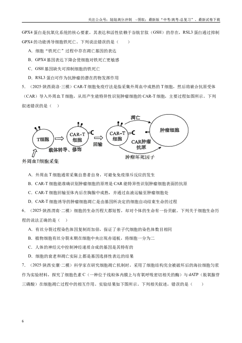 《猜押03细胞的生命历程（学生版）_06-生物-高考总复习_专项复习_2025年_2025年高考生物抢押秘籍（陕西、山西、宁夏、青海专用）》第6页预览
