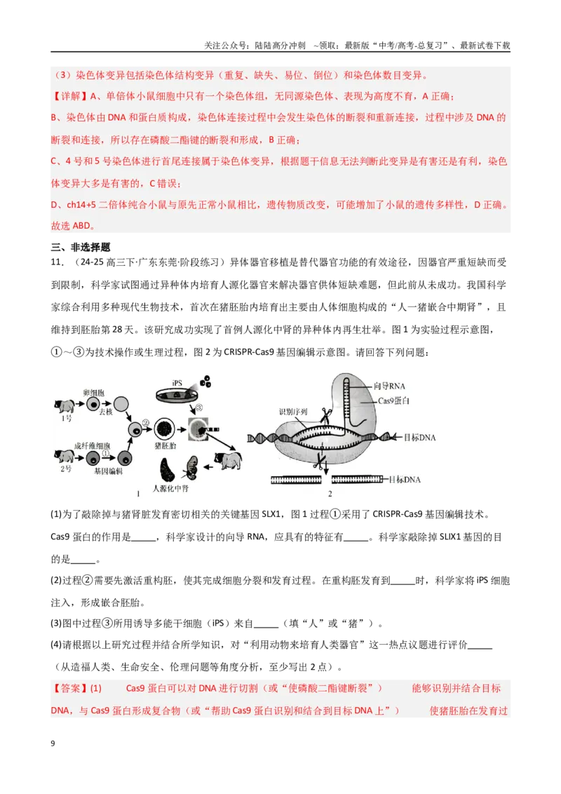 《热点02基因编辑与生物技术（CRISPRCas9等）（教师版）_06-生物-高考总复习_专项复习_2025年_2025年高考生物重难点讲义专练（新高考通用）》第9页预览