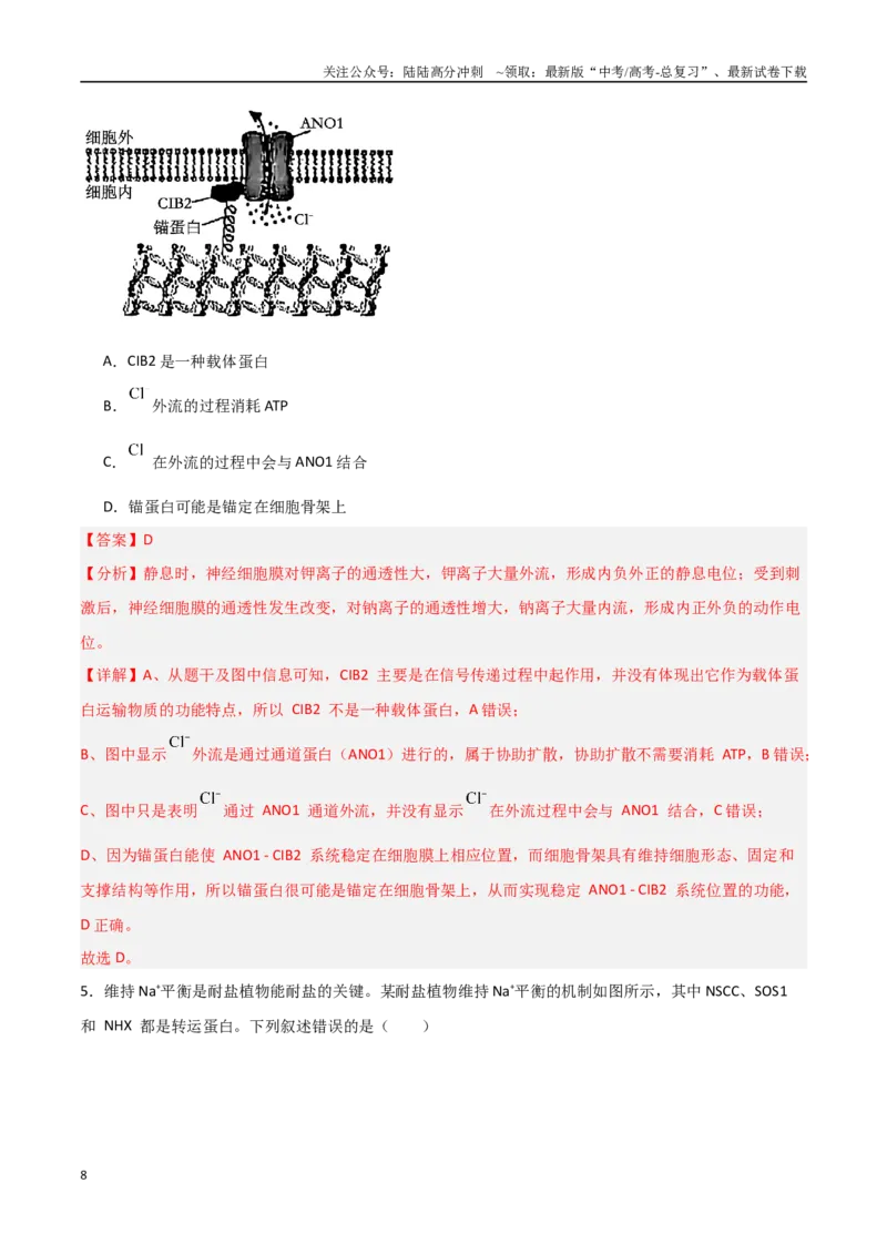 《猜押03细胞代谢（教师版）_06-生物-高考总复习_专项复习_2025年_2025年高考生物抢分秘籍（新高考专用）_2025版》第8页预览
