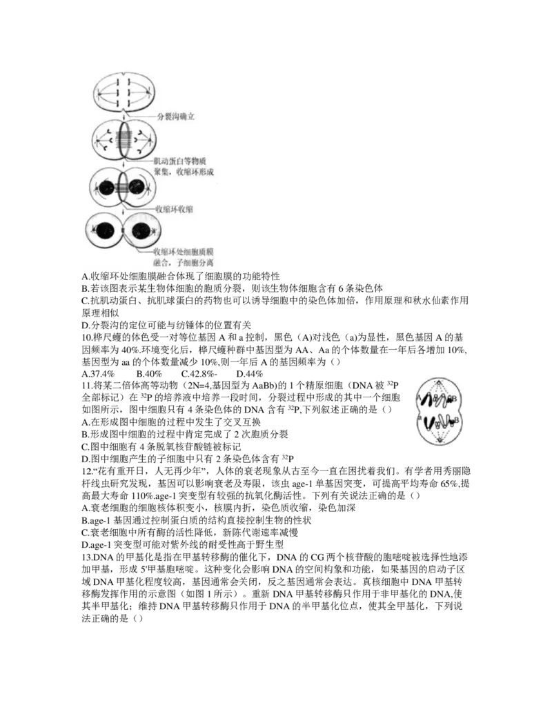《2022届T8联考（12月）-生物试卷(1)_T8联考全科试卷与解析_生物》第3页预览