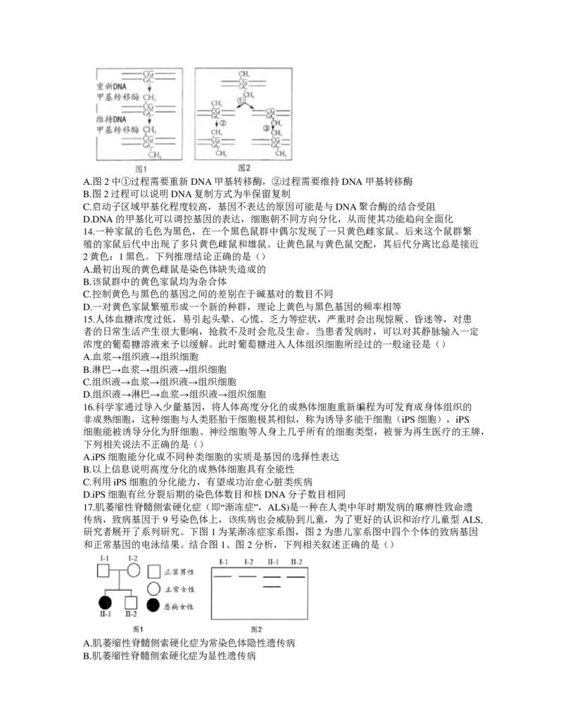 《2022届T8联考（12月）-生物试卷(1)_T8联考全科试卷与解析_生物》第4页预览