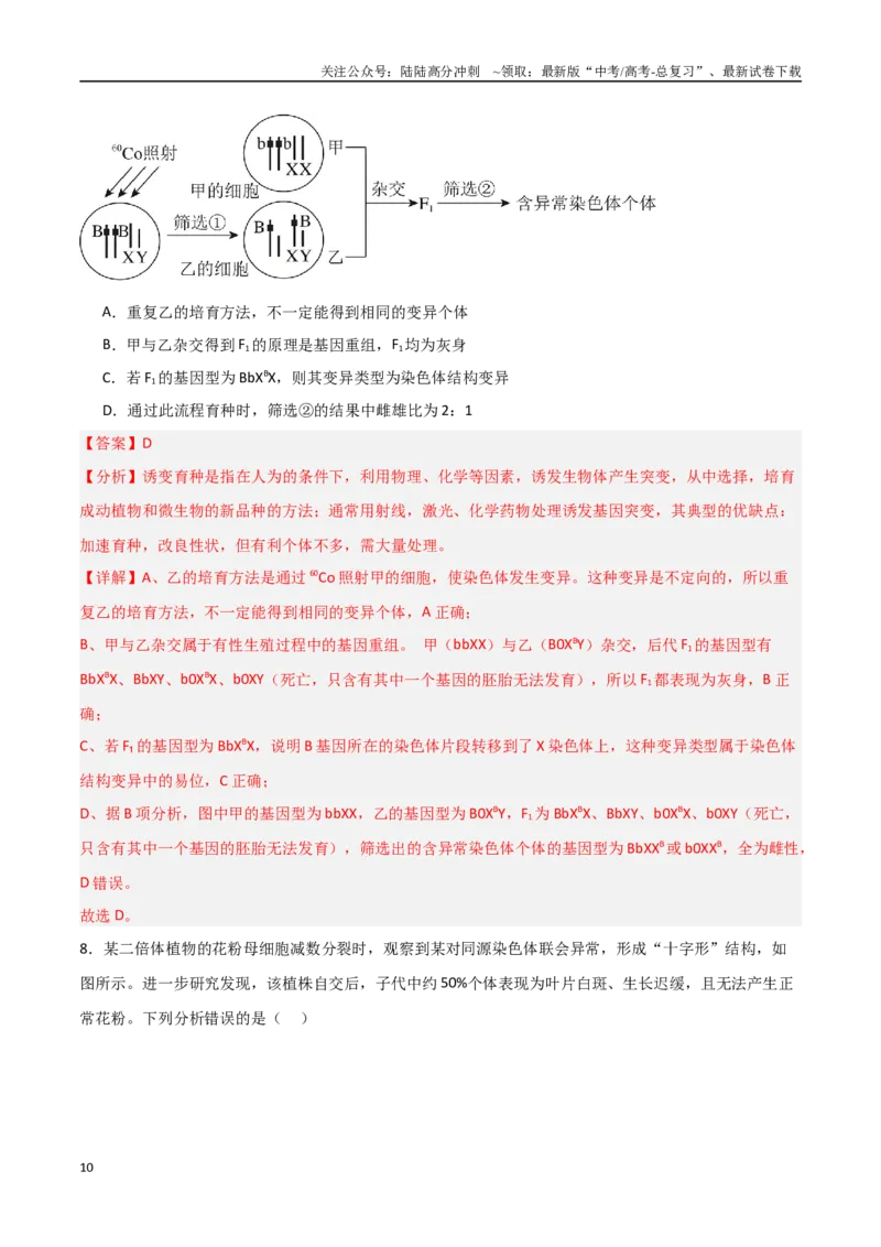 《猜押06变异与进化（教师版）_06-生物-高考总复习_专项复习_2025年_2025年高考生物抢分秘籍（新高考专用）_2025版》第10页预览