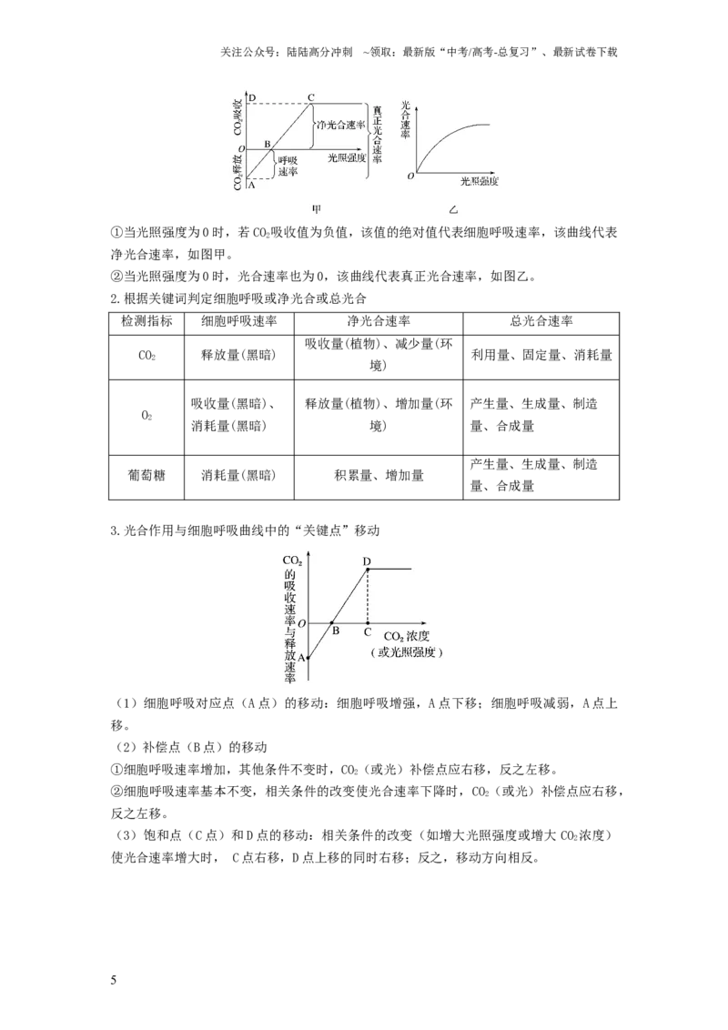 《专题10光合作用与细胞呼吸的综合应用（串讲）（原卷版）_06-生物-高考总复习_一轮复习_2024年_2024年高考生物一轮复习串讲精练知识点梳理练习题_串讲》第5页预览