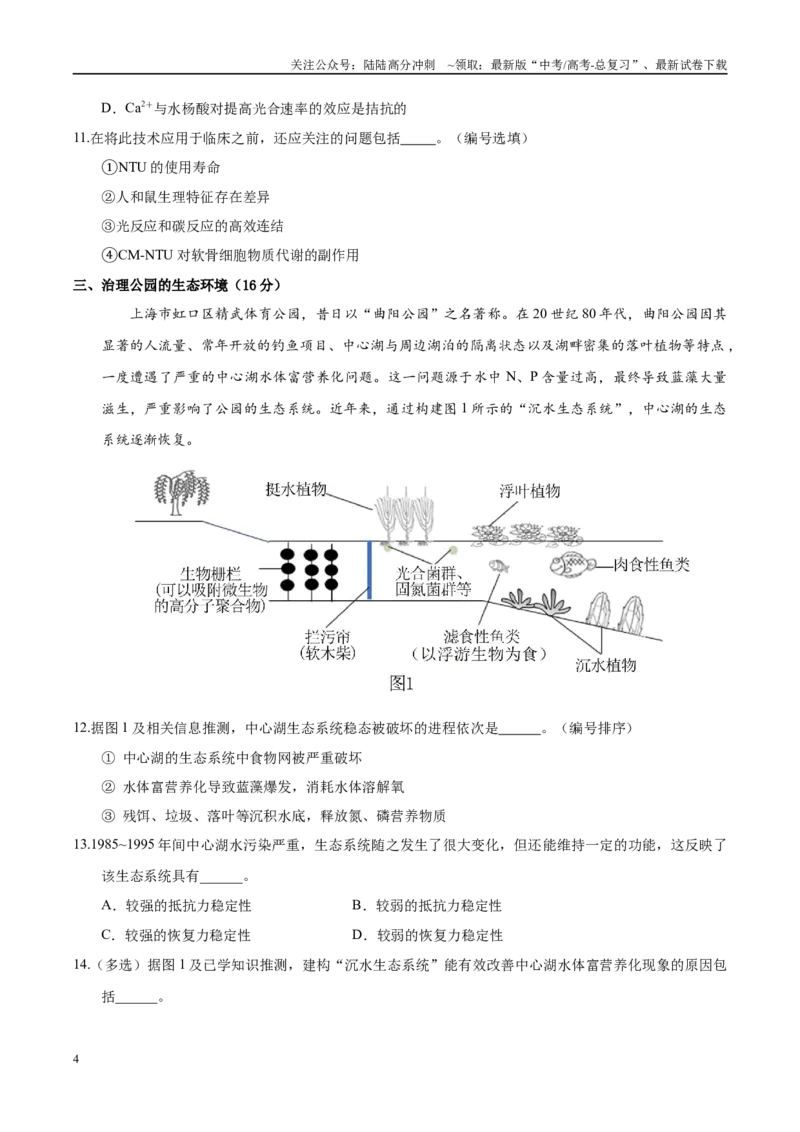 《生物（上海卷）（考试版）_06-生物-高考总复习_专项复习_2025年_2025年高考第一二三次模拟卷（多地区）生物_2025年高考生物第三次模拟考试21套_生物（上海卷）》第4页预览